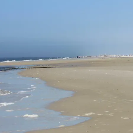 Daire Friesenhof, Haus Hafis 8 *